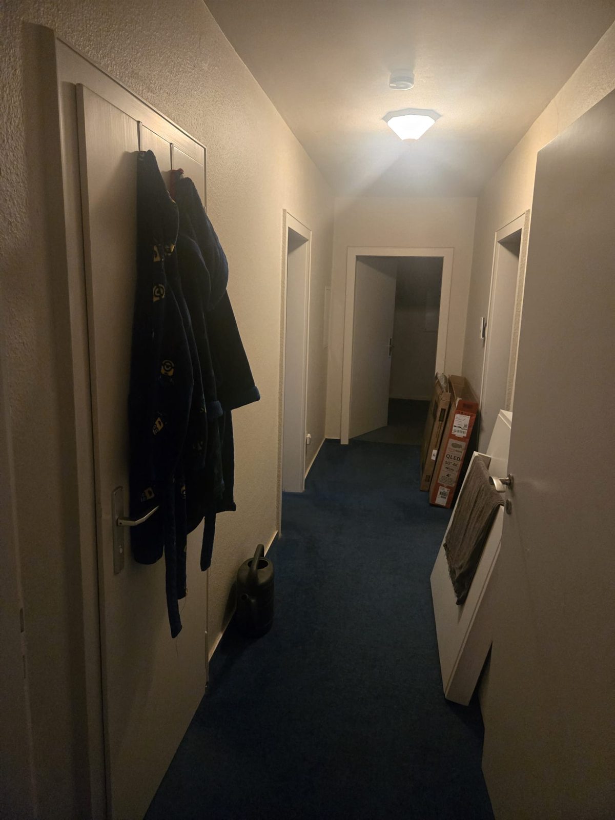 Alter Flur der Wohnung in Seelze vor der Sanierung